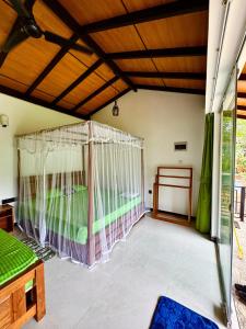 Rainforest River Bay