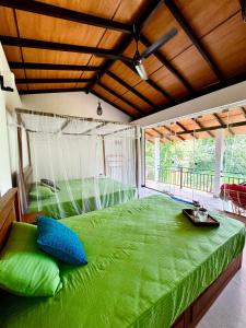 Rainforest River Bay