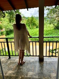 Rainforest River Bay