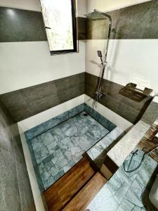 Rainforest River Bay