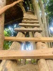 Habarana Tree House Area