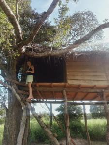 Habarana Tree House Area