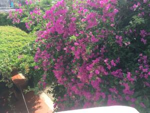 Charming very quiet Center Renewed