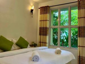 Dhangethi Retreat