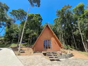 Chale Lima Doutor Pedrinho - José Boiteux