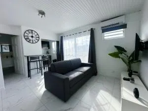 Ebène - F1 au coeur de Fort-de-France - Châteaubœuf