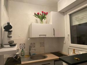 Studio cosy DE GAULE