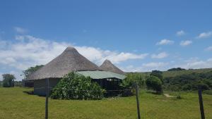 Beautiful rustic sea cottage, 2km Kob Inn