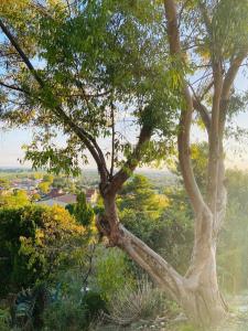 Villas Nice villa with a view : photos des chambres