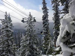 Luxury 2 bed 2 bath Condo in River Run with Pool and Hot Tub