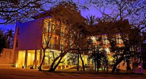 Rain Tree by Oak Ray