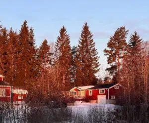 Cozy Ockelbo Retreat with Sauna Stunning Nature Views - Söderhamn