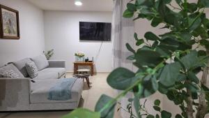 Departamento Tequis, totalmente nuevo en el corazón de SLP