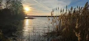 SeenSucht & Urlaubsträume, Ferienwohnung "Seestern" - Altdöbern