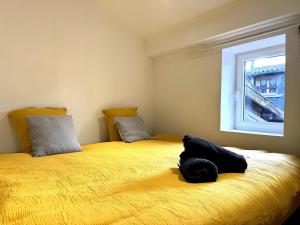 Appartements Spacieux & charmant T3, 2 chambres en hyper centre : photos des chambres