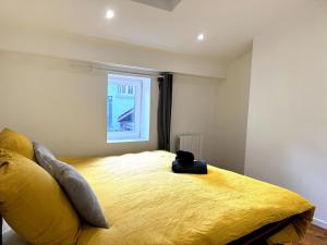 Appartements Spacieux & charmant T3, 2 chambres en hyper centre : photos des chambres