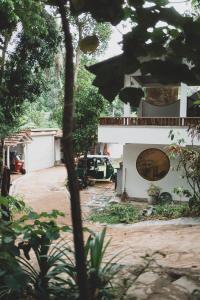 Rama Shala - Home of the flying Yogis