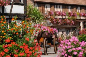 Maisons de vacances Gite Jeanne familial - calme - parking : photos des chambres