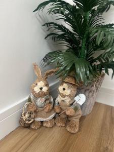 Couples Retreat Cosy Modern Cottage ,Near Carlisle, the Borders and the Pennines , near village pub & in peaceful village location