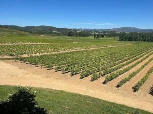 Maisons de vacances Maison calme au coeur des vignes : photos des chambres