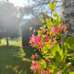 Complexes hoteliers Chalets de la Colagne : photos des chambres