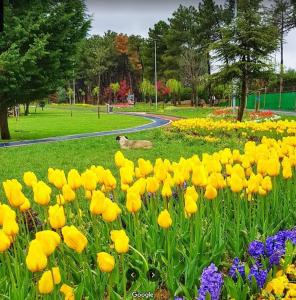 Country , two bedroom and livingroom on Main Street