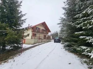 Cabana Babarunca Brasov - 布泽乌河畔瓦马乡