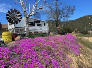 Hikers Hideaway w Amazing Views and 2 Steaks - Warner Springs