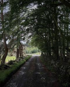 Old school - Charming Historic Cottage for Seven