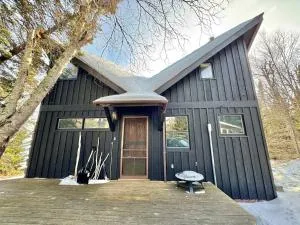 Lake Superior Retreat Private Wooded Haven with Panoramic Views - Hovland