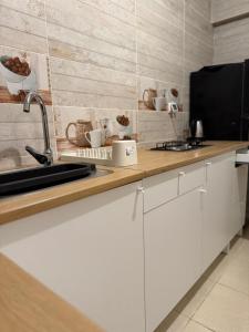 JRE-EG modern aprt01SheikhZayed 5min to ArkanPlaza