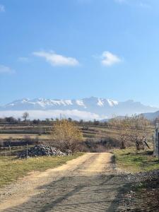 Popasul Piatra Craiului
