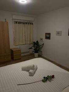 Appartements Atypical jacuzzi accommodation in Bordeaux! : photos des chambres