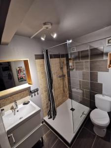 Appartements Le 9 charmant appart meuble de tourisme 2 etoiles centre : photos des chambres