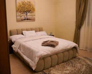 Luxury apartment in Zamalek