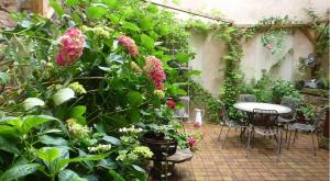 Appartements Gite Les Hirondelles 6 pers Ribeauville : photos des chambres