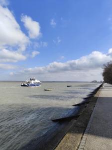 Les cigognes gites de la reserve