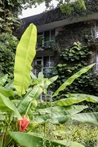 Novo Hotel & Suite - Planes de Renderos