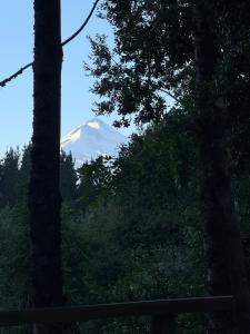 Cabaña familiar en el campo a 15 minutos del centro de Melipeuco