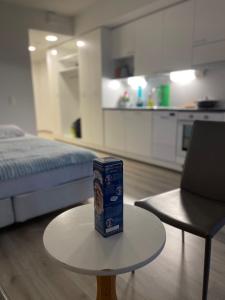 Modern furnished studio