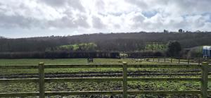 1 Bed Cottage - Sleeps 2 - Parking - Wifi