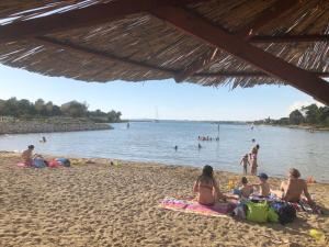 House Dalmatika Zaton