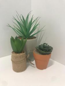 Victoria3 1-Bedroom Condo in a Privileged Location