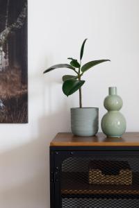 Premium Apartament 156