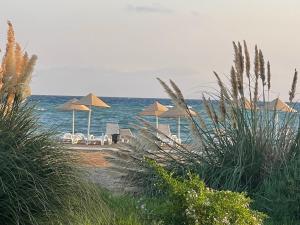 Tranquil Suites By the Sea