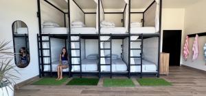 The Flamingo Experience - Beach Bunks