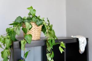 Spacious Esthers Room E Near SMN