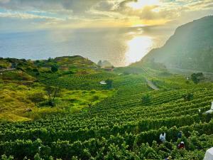 Dani House - Porto Moniz Escape