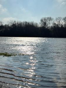 Maison 4 chambres près d Angers et à 500 m de la Loire