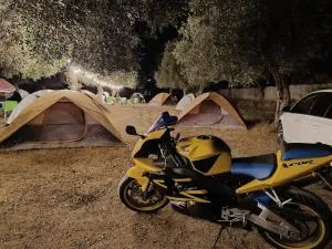 Waveside Camping - 博尔什